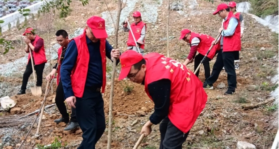 村企共建，共植先鋒林